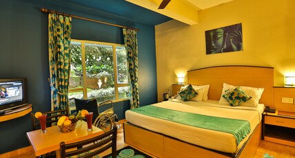 Misty Mountain Resort Room Type - Executive Suite room