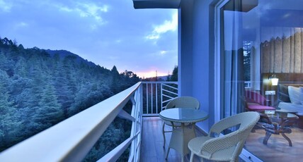 DLS Ark Holiday Inn Room Type - Premium Room With Balcony