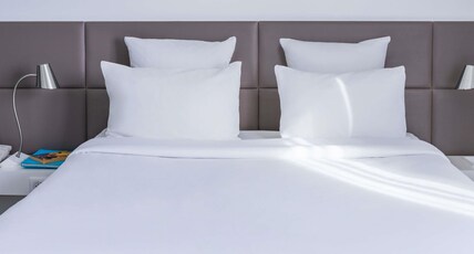 SUITE NOVOTEL PARIS ISSY Room Type - Superior Suite 1 double bed