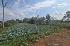Premium Nature Farm Retreat with Modern Comforts
