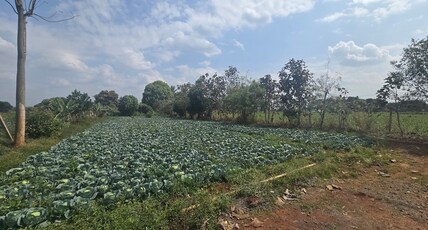 Premium Nature Farm Retreat with Modern Comforts Room Type - Premium Nature Farm Retreat with Modern Comforts