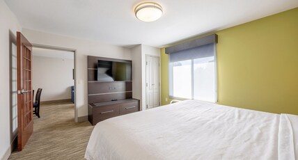 Holiday Inn Express & Suites WINONA Room Type - 1 King Bed Standard Sofa Bed