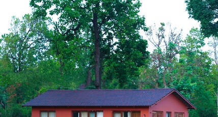 ATULYA KANCHI CAMP Room Type - Independent Luxury Villa