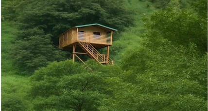 The Cocoon Camps & Nature Resorts Room Type - Tree House
