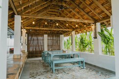 Seashells and Stories Varkala 