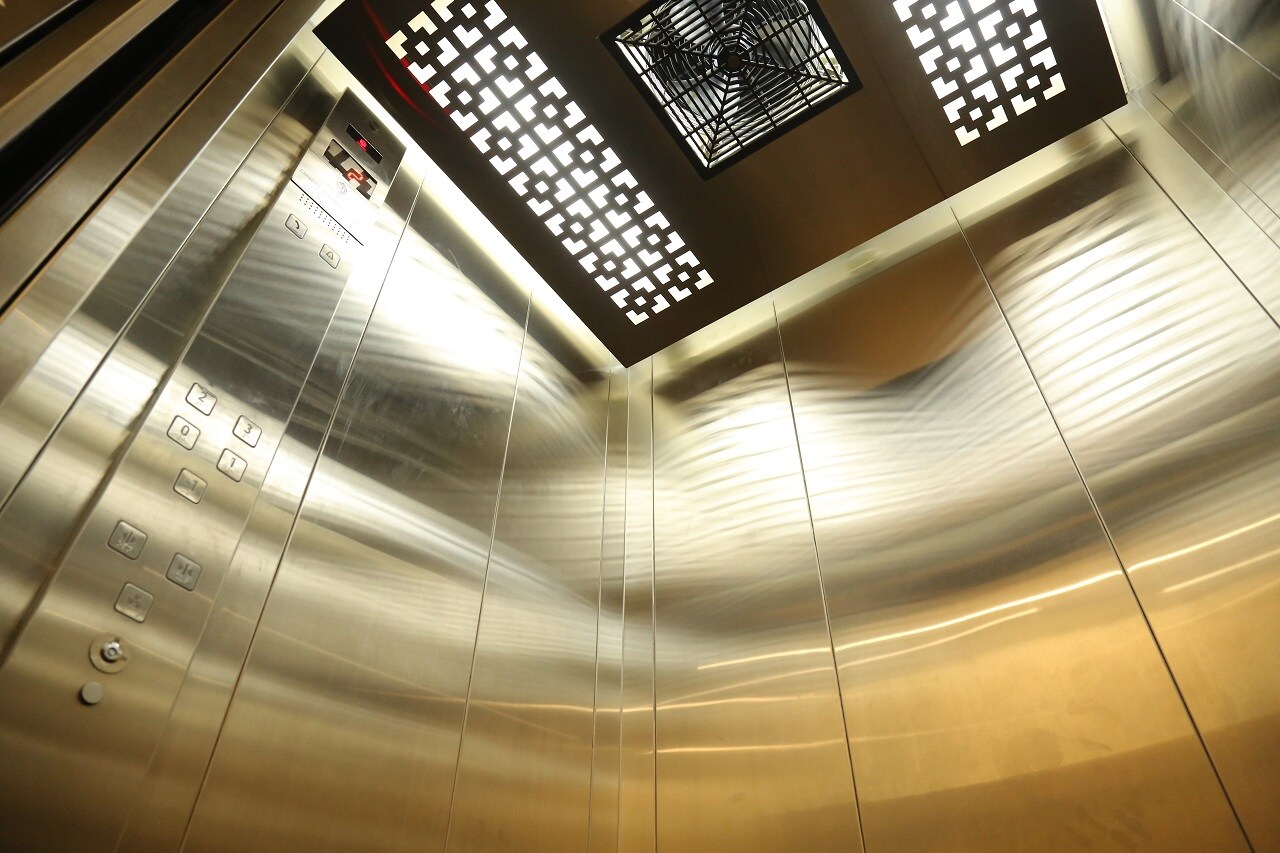 Main gallery