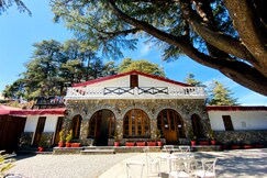 Devdar Woods | An LVB Experience | Landour