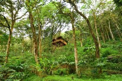 Soma Seven Springs Plantation Resort