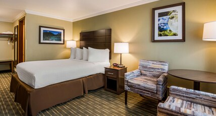 Best Western Holiday Hotel Room Type - Suite-2 Queen Beds, Mobility Accessible, Communication Assistance, Bathtub, Sofabed, Non-Smoking, Fu