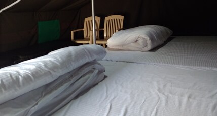 Eden RiverSide Camp | Rooms & Restaurant Room Type - Family Tent