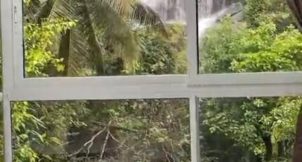 Nature Cascade Room Type - A frame Deluxe King Bed Room with Waterfall View