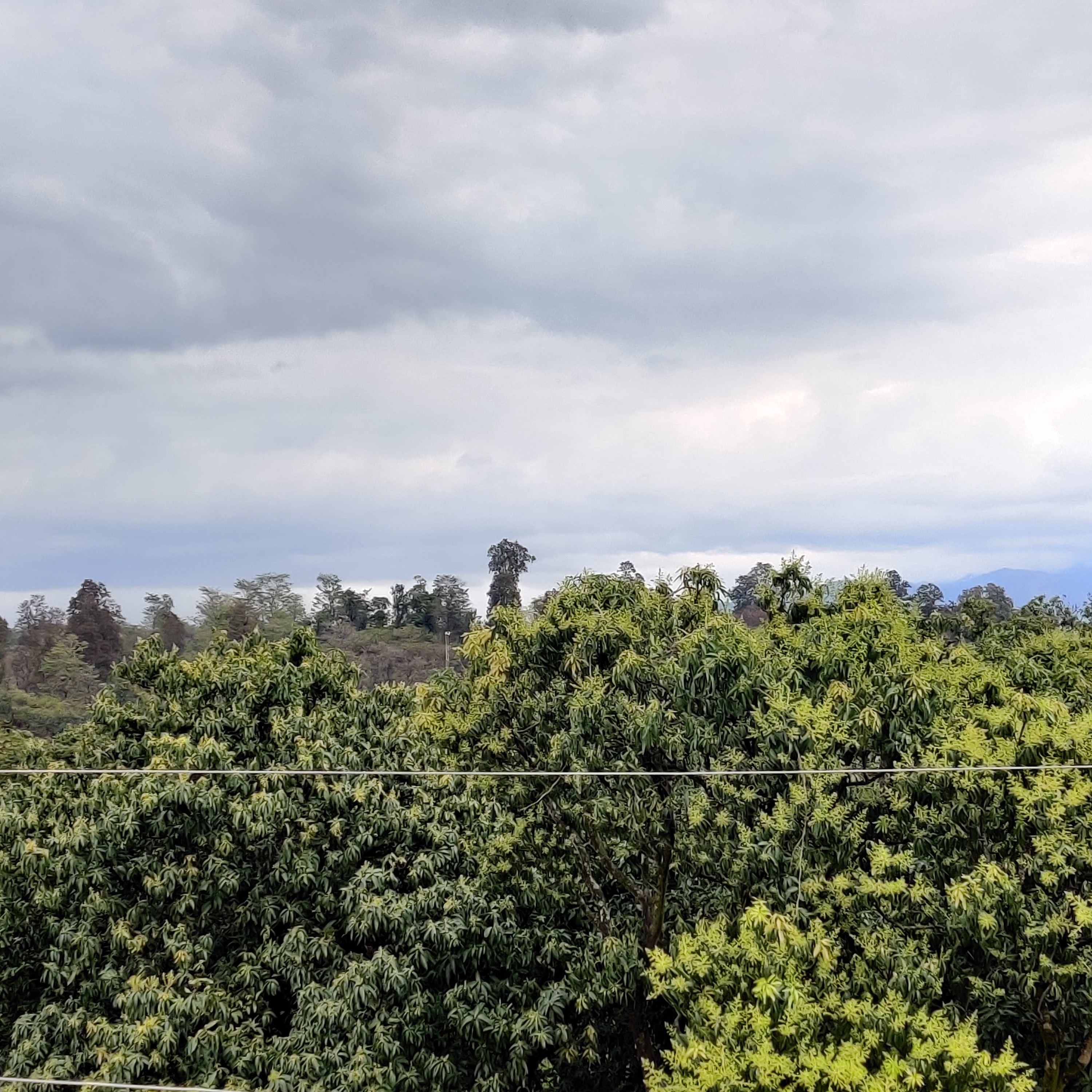 Corbett Orchid View - Tap to explore photos