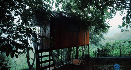 PAITHAL MEADOWS Room Type - Tree Hut