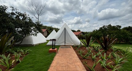 Ravishing Retreat Resort Room Type - Tent - Foxtail