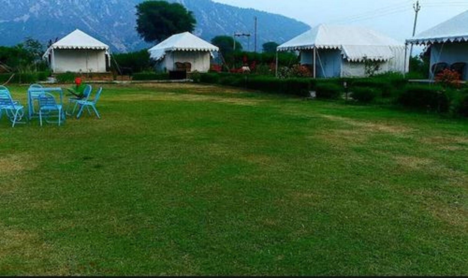 Sariska Green Hill - Tap to explore photos