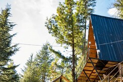 Adishanoir Hilltop Manali