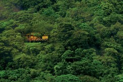 Vythiri Resort