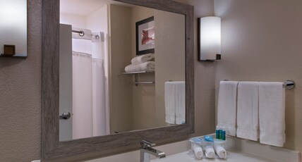 Holiday Inn Express & Suites Austin NW - Four Points, an IHG Hotel Room Type - 1 King Standard Wildlife Preserve View
