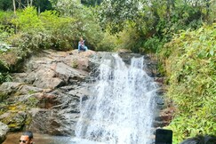 Langurdang Farmstays