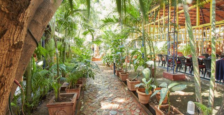 INCHARA FAMILY GARDEN RESTAURANT - Tap to explore photos