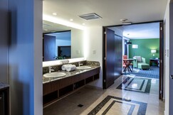 Holiday Inn CIUDAD DE MEXICO-TRADE CENTER