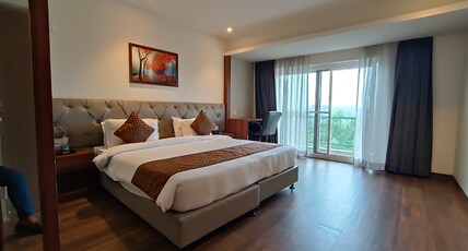 Tulip Arena Raipur Room Type - Suite Room
