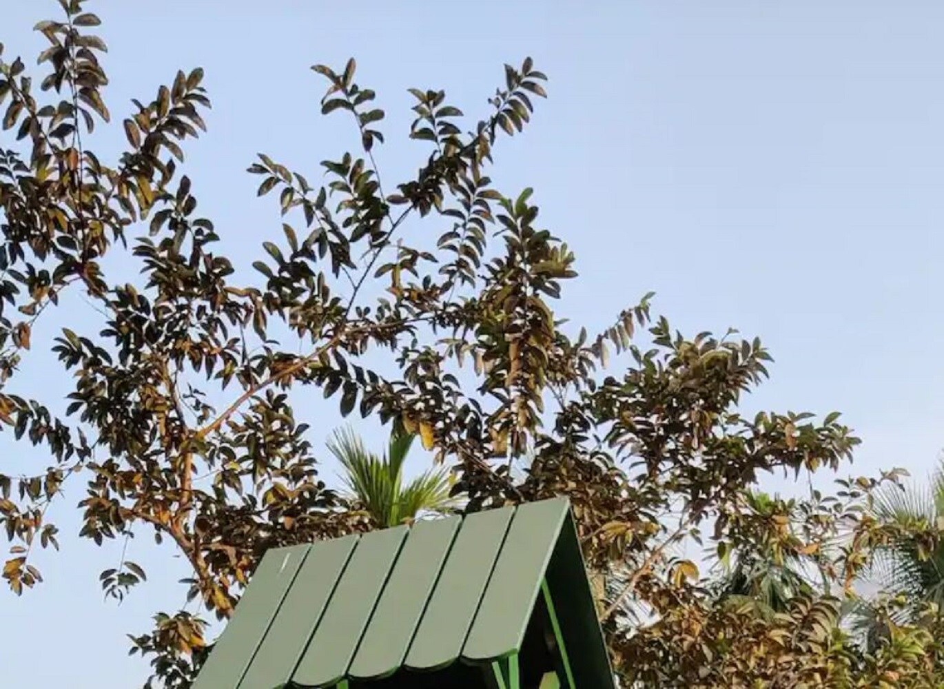 Monikut Homestay - Tap to explore photos