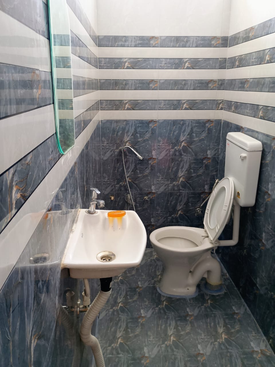 Ajay Palace - Tap to explore photos