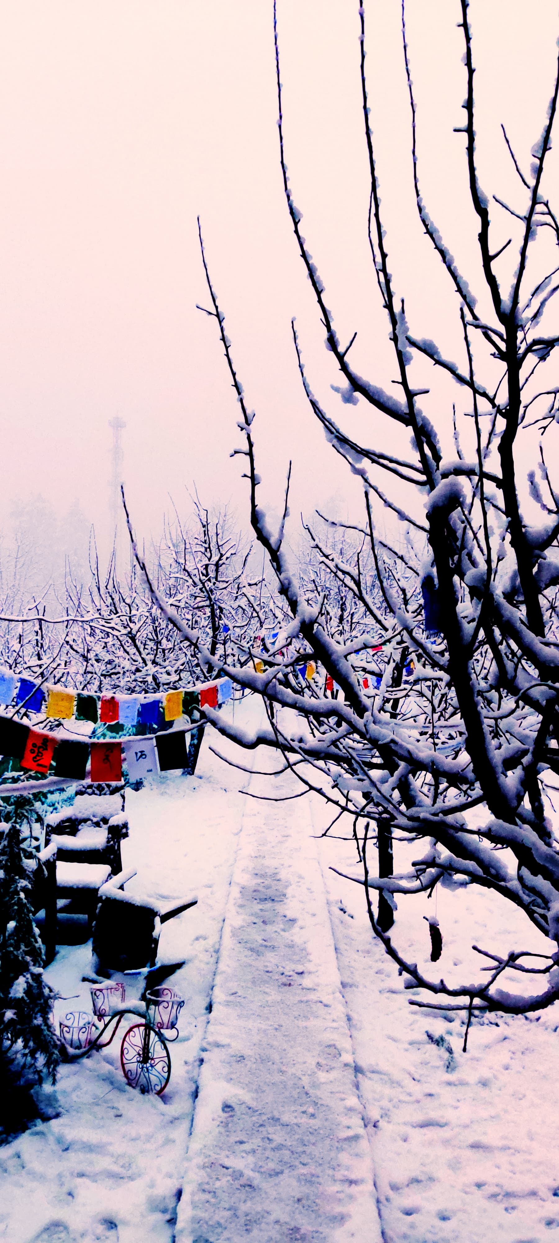 Trancemania Manali - Tap to explore photos