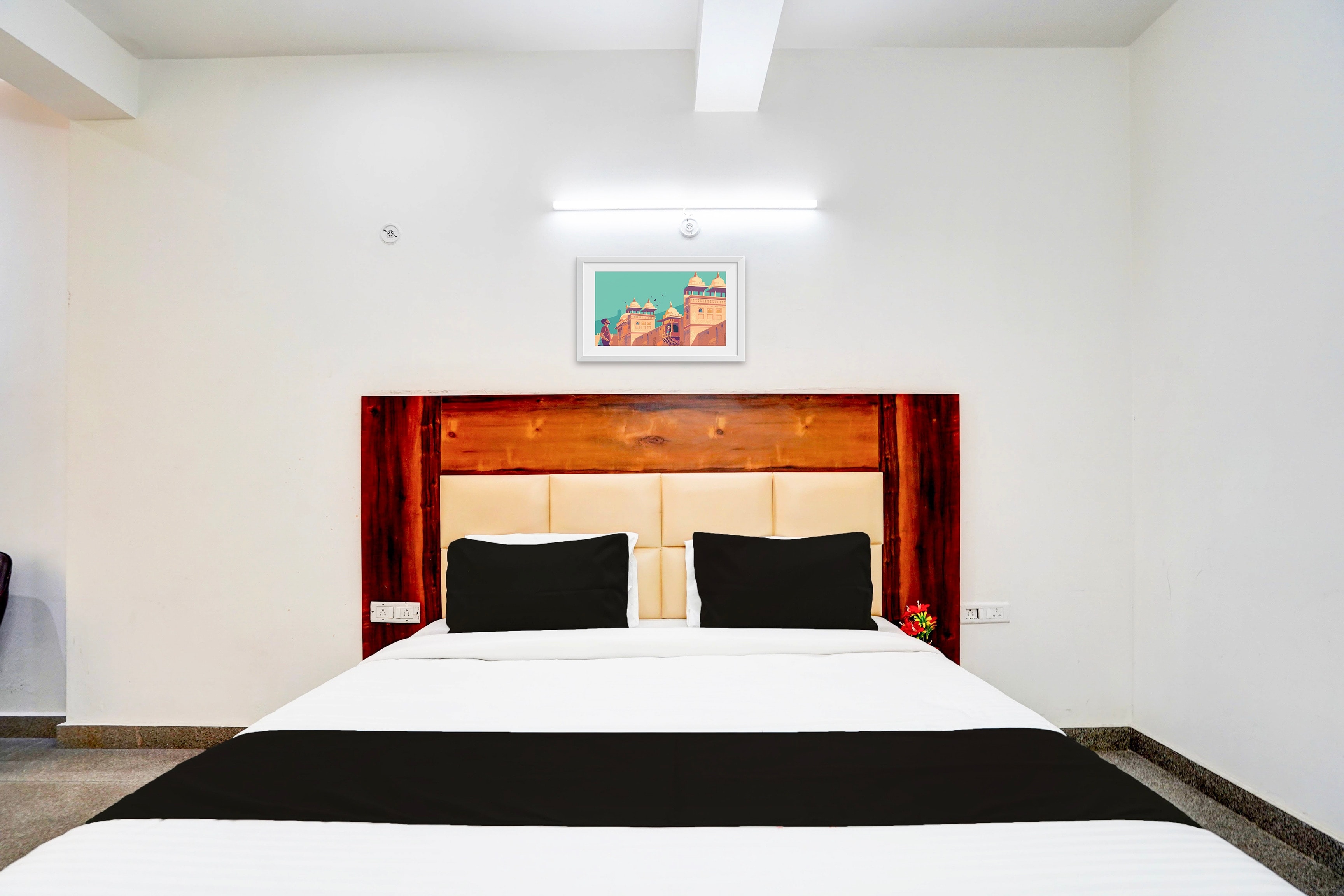 Collection O Apple Tree - Tap to explore photos