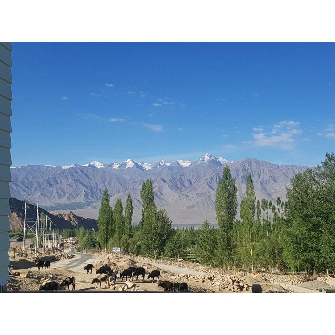 Himalayan Residency Leh - Tap to explore photos