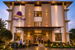 Address of The Purple Mango
