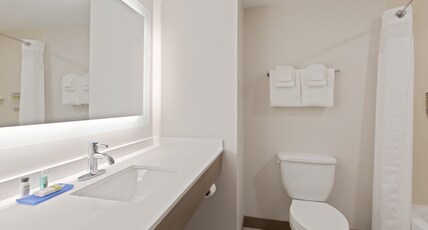 Holiday Inn Express Hotel & Suites Largo-Clearwater Room Type - 1 King Suite