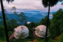 Glamp-Inn || The Camping Cabin ||