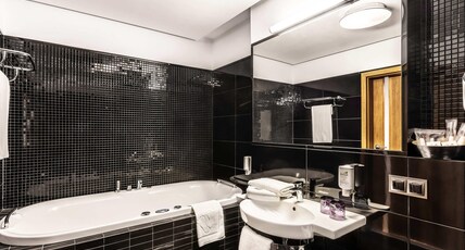 Mercure Wiazowna Brant Room Type - Standard Suite with 1 queen-size bed and sofa