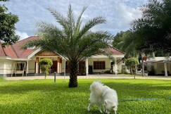 Palm Grove Kerala Green Retreat