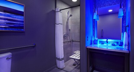 InterContinental Minneapolis - St. Paul Airport Room Type - 1 King Classic Hearing Accessible Transfer Shower InterContinental Minneapolis - St. Paul Airport Room Type - 1 King Classic Hearing Accessible Transfer Shower