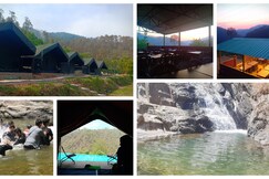 Wild Roots River Camps