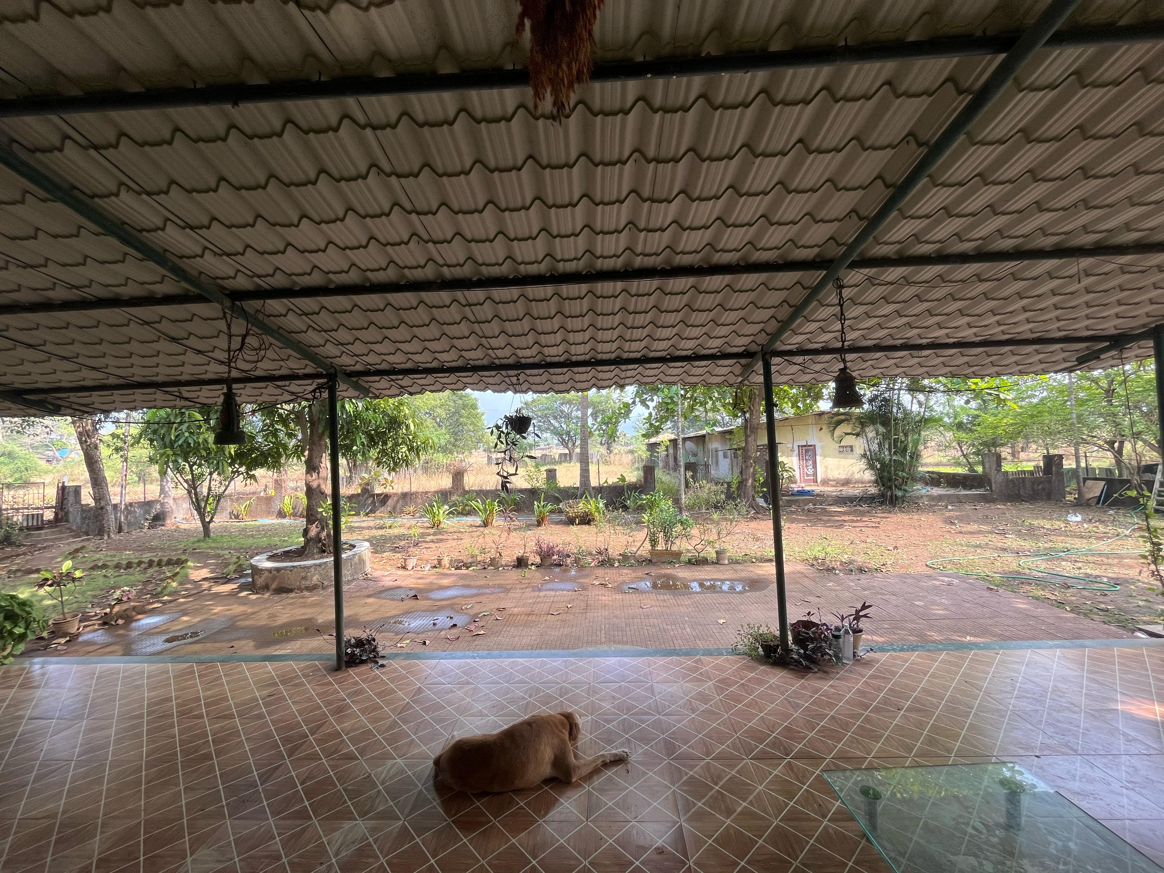 Shinde Farmhouse - Tap to explore photos
