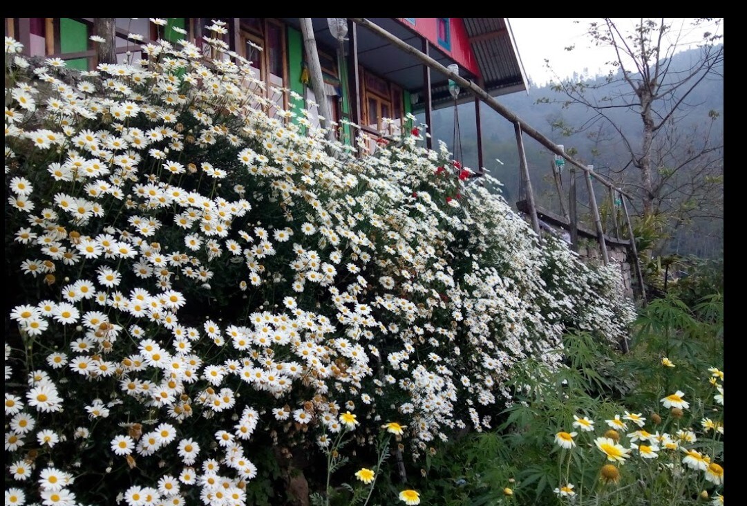 Khawas Homestay - Tap to explore photos
