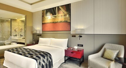 Radisson Blu Faridabad Room Type - Business Class Room with Club Lounge Access