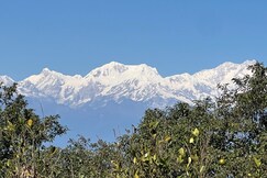 Peak and Pine