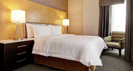 Hampton Inn Brooklyn Downtown NY Room Type - BALCONY 1 KING NON SMOKING