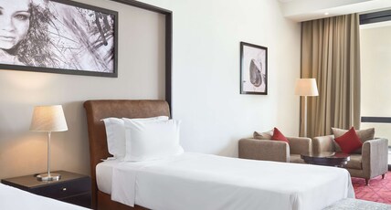 Radisson Blu Hotel & ConventionCenter, Alexandria Room Type - Standard Room