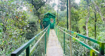 Vintage Farm House and Treehouse Room Type - EMERALD ROOM