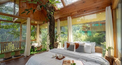 Glass Treehouse Tandi Village Room Type - The Glass Treehouse