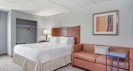 Hampton Inn by Hilton Baltimore/White Marsh Room Type - 1 KING STUDY NONSMOK