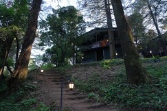 Treetop Glamps - Mussoorie