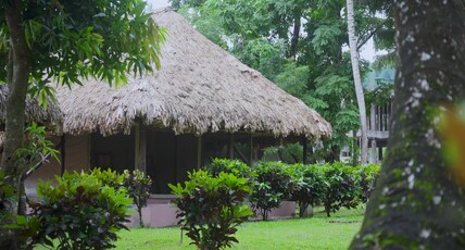 Barefoot Scuba Room Type - AC Tented Cottage