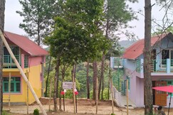 Address of Rimaaia Homestay Shillong